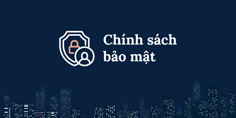 Trang web thu nhập chính sách bảo mật người dùng những gì