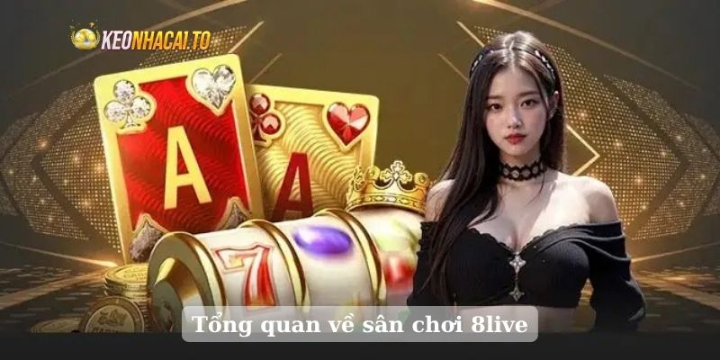 Tổng quan về sân chơi 8live