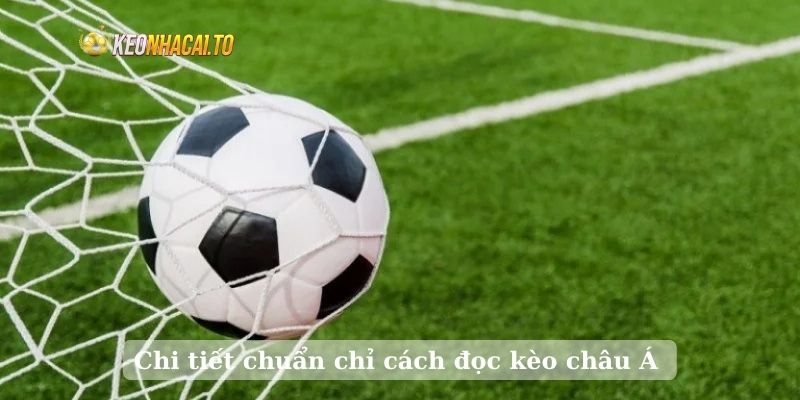 Chi tiết chuẩn chỉ cách đọc kèo châu Á