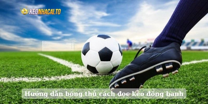 Hướng dẫn bóng thủ cách đọc kèo đồng banh