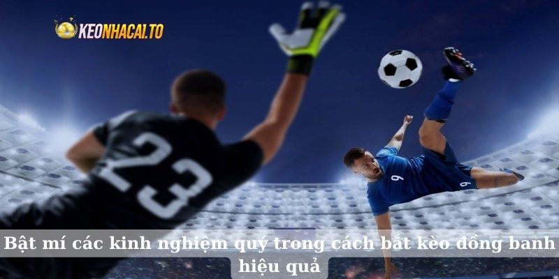 Bật mí các kinh nghiệm quý trong cách bắt kèo đồng banh hiệu quả