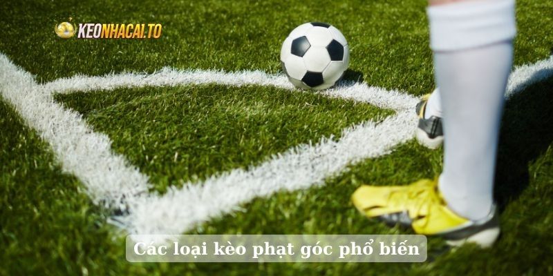 Các loại kèo phạt góc phổ biến