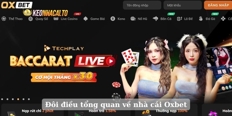 Đôi điều tổng quan về nhà cái Oxbet