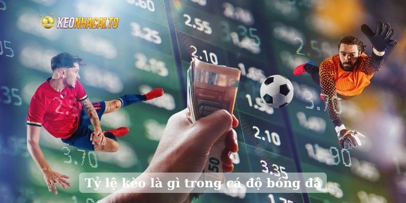 Tỷ lệ kèo là gì trong cá độ bóng đá
